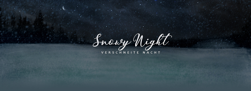 Schneelandschaft bei Nacht