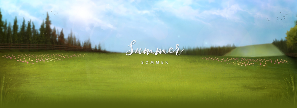 Sommerlandschaft