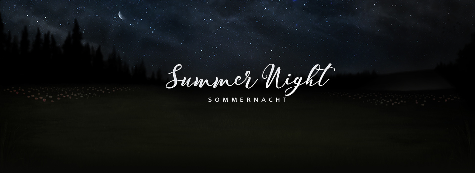Sommerlandschaft bei Nacht