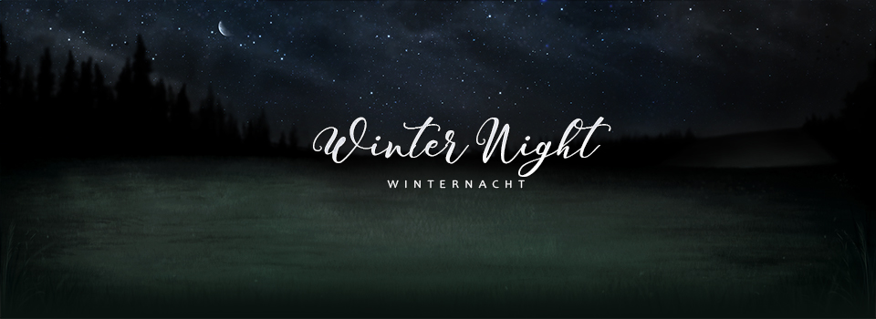 Winterlandschaft bei Nacht