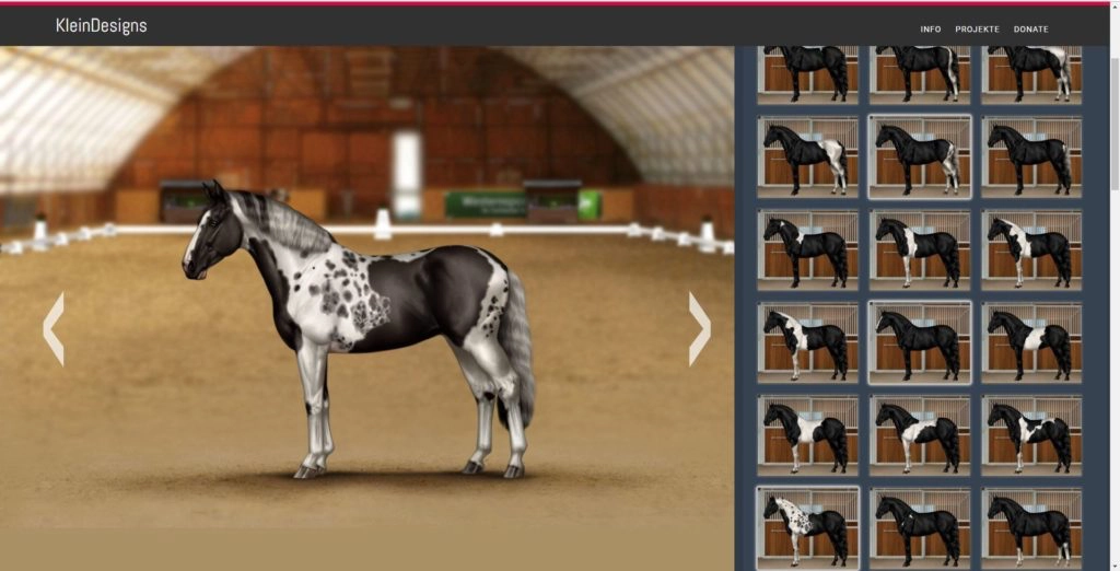 Andalusier mit Tobiano Pattern in Windfarben