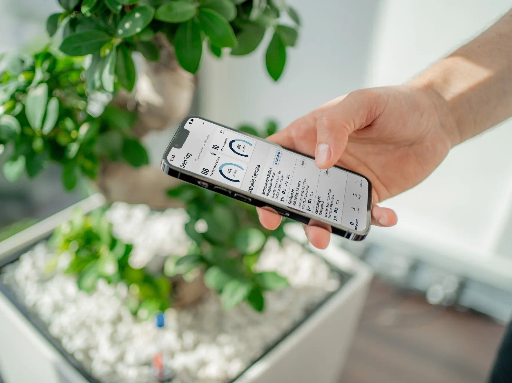 Produktdesign für eine Pflanzenpflege App