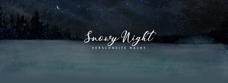 Schneelandschaft bei Nacht