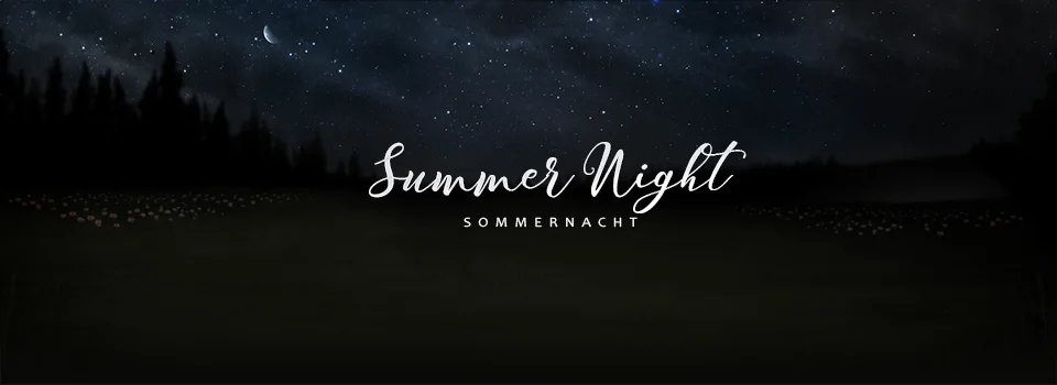Sommerlandschaft bei Nacht