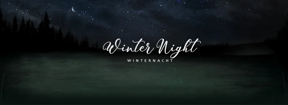 Winterlandschaft bei Nacht